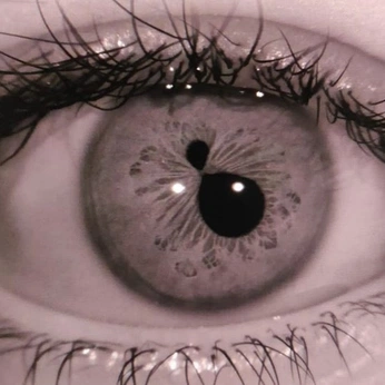 A cover of "🌐" cluster. The owner is ahilu.0e0. The cluster consists of 8 elements.