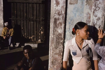 A cover of "caribbean life" cluster. The owner is adamabdh. The cluster consists of 3 elements.