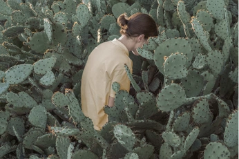 A cover of "desert" cluster. The owner is leosudden. The cluster consists of 1 element.