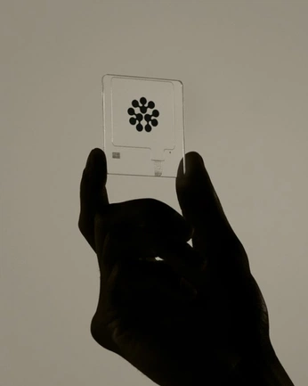 A cover of "Info Des Campaign" cluster. The owner is chiarasaid. The cluster consists of 13 elements.