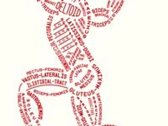 A cover of "Typography" cluster. The owner is stephenkelman. The cluster consists of 225 elements.