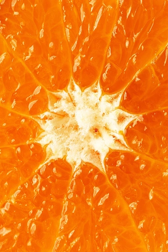 A cover of "orange" cluster. The owner is olivvia. The cluster consists of 17 elements.