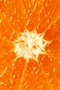 Cover of orange cluster
