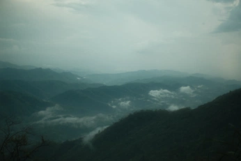 A cover of "Photography" cluster. The owner is ninjii. The cluster consists of 4 elements.