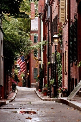 A cover of "USA" cluster. The owner is tina.me. The cluster consists of 9 elements.