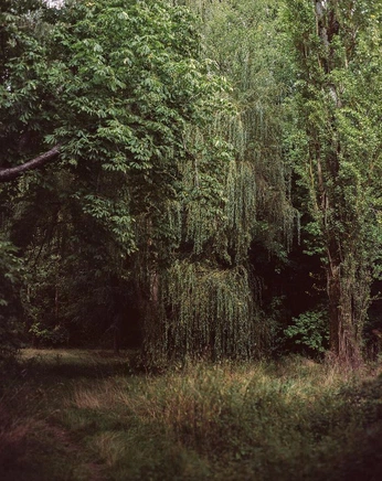 A cover of "SaintCopse" cluster. The owner is saintehill. The cluster consists of 52 elements.