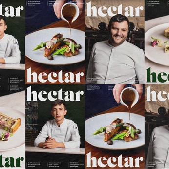 A cover of "SERIE GASTRONÓMICA" cluster. The owner is mfsasa. The cluster consists of 3 elements.