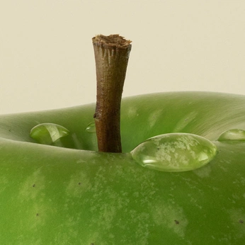 A cover of "other" cluster. The owner is loossemble. The cluster consists of 5 elements.