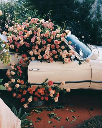 A cover of "vintage roses" cluster. The owner is geezlouise. The cluster consists of 13 elements.