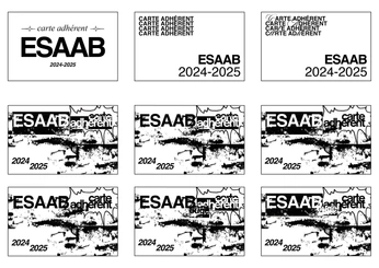 A cover of "Ronin : style crado" cluster. The owner is kab.mp4. The cluster consists of 15 elements.