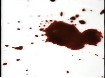 A cover of "storie yue" cluster. The owner is psychii. The cluster consists of 10 elements.