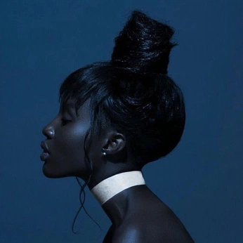 A cover of "Ref" cluster. The owner is arihibiscus. The cluster consists of 26 elements.