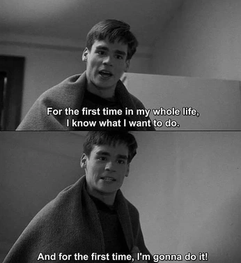 A cover of "concept #06" cluster. The owner is bktbkt629. The cluster consists of 36 elements.