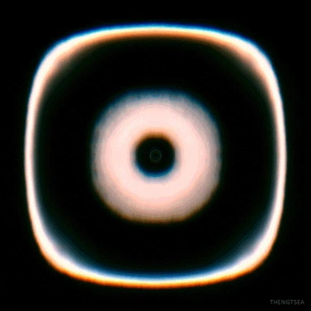 A cover of "Motion" cluster. The owner is bled. The cluster description is "Motion is emotion". The cluster consists of 137 elements.