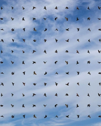 A cover of "pics i like" cluster. The owner is marsvison. The cluster consists of 7 elements.