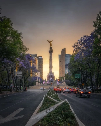 A cover of "CDMX, MX" cluster. The owner is vxleria. The cluster consists of 6 elements.