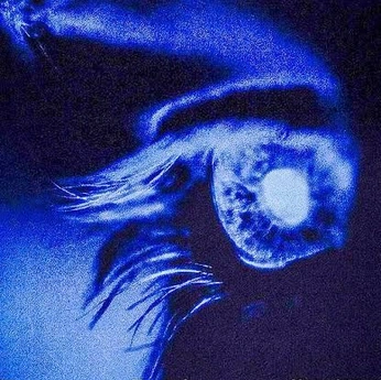 A cover of "Media design" cluster. The owner is athenseclipsara. The cluster consists of 67 elements.