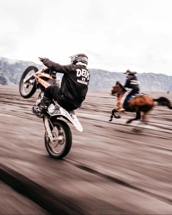 A cover of "Wild Nites" cluster. The owner is randiowsley. The cluster consists of 6 elements.