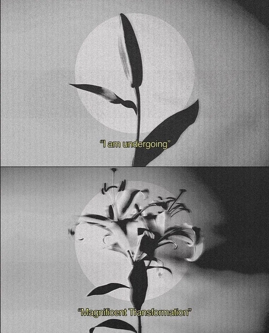 An Instagram carousel post added by cosmos on Oct 13, 2022. The author is @cosmos.