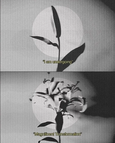 An Instagram carousel post added by cosmos on Oct 13, 2022. The author is @cosmos.