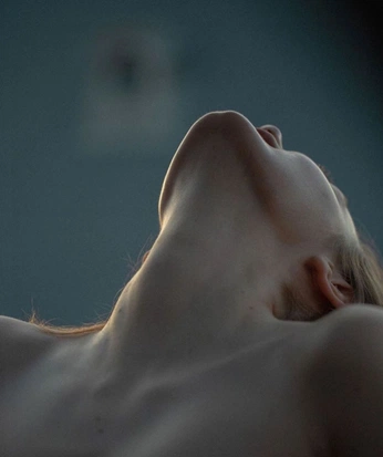 A cover of "form" cluster. The owner is minitacopapi. The cluster consists of 37 elements.