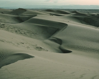 A cover of "DepaHillo" cluster. The owner is pauarreola. The cluster consists of 18 elements.