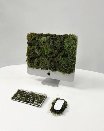 A cover of "{INPUT_NATURE}" cluster. The owner is gracecosmos. The cluster consists of 34 elements.