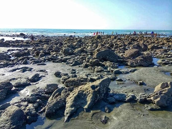 A cover of "Patuartek" cluster. The owner is mahmoodshabbir. The cluster consists of 33 elements.