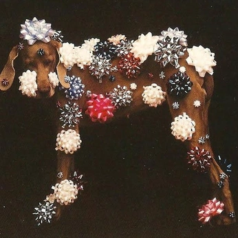 A cover of "oh joy" cluster. The owner is lopez. The cluster consists of 10 elements.