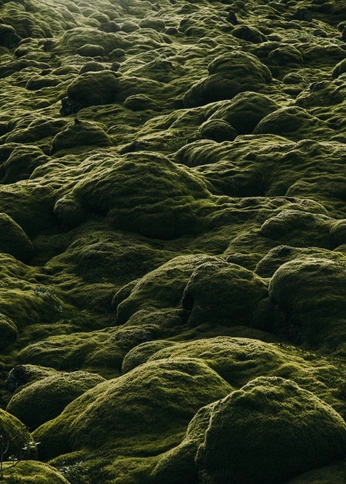 A cover of "Macro" cluster. The owner is xoxoluv. The cluster consists of 29 elements.