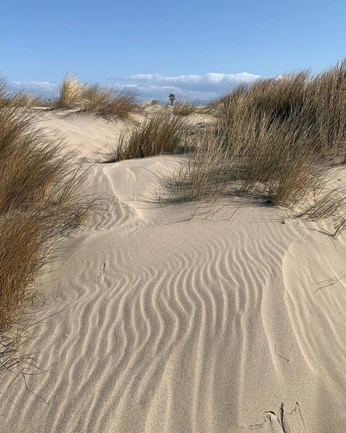 A cover of "rand rand" cluster. The owner is kofff. The cluster consists of 130 elements.