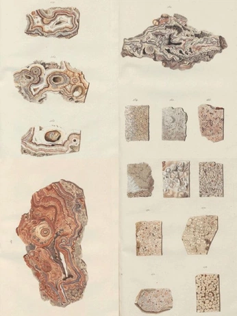 A cover of "Mineraux" cluster. The owner is marianacastillol. The cluster consists of 2 elements.