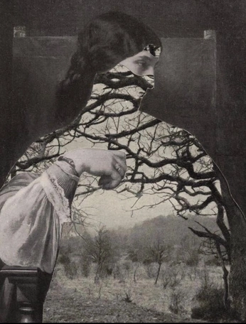 A cover of "photography project" cluster. The owner is drplague. The cluster consists of 5 elements.