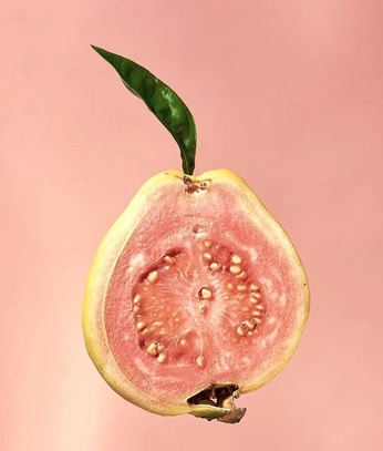 A cover of "GUAVA" cluster. The owner is isarmi. The cluster consists of 12 elements.