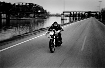 A cover of "Feral" cluster. The owner is benjiwagner. The cluster description is "Photography: Benji Wagner". The cluster consists of 36 elements.