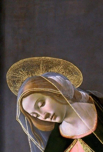 A cover of "Botticelli" cluster. The owner is jdesing. The cluster consists of 6 elements.