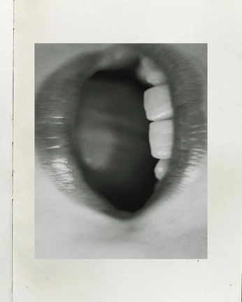 A cover of "sabe" cluster. The owner is sofiaalvazr. The cluster consists of 8 elements.