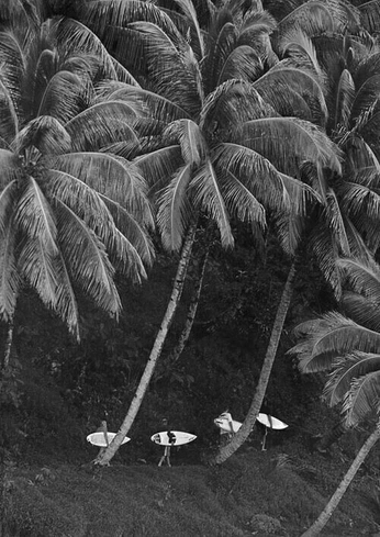 A cover of "Beachy" cluster. The owner is kesia. The cluster consists of 1 element.