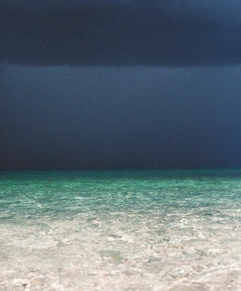 A cover of "Nature" cluster. The owner is casperschoeber. The cluster consists of 1 element.