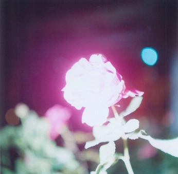 A cover of "Film glows" cluster. The owner is jasongkms. The cluster consists of 1 element.