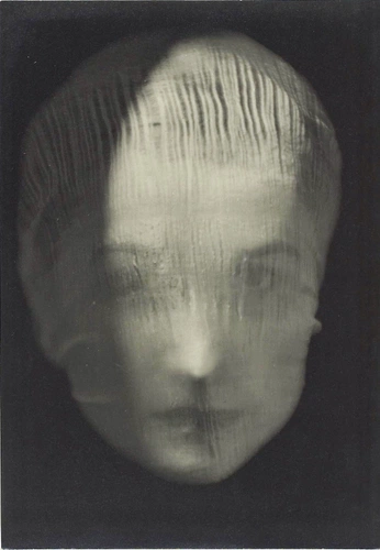 A cover of "Portrait" cluster. The owner is dranaqueenie. The cluster consists of 2 elements.