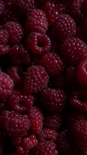 A cover of "Fru" cluster. The owner is kavacs. The cluster consists of 1 element.