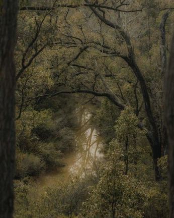 A cover of "winter love" cluster. The owner is akowaffle. The cluster consists of 2 elements.