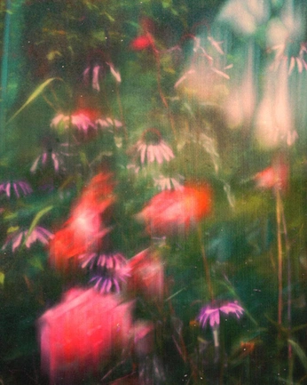 A cover of "green nature" cluster. The owner is likadraws. The cluster consists of 5 elements.