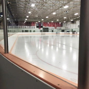 A cover of "casey st. james" cluster. The owner is wysteriagrown. The cluster consists of 16 elements.