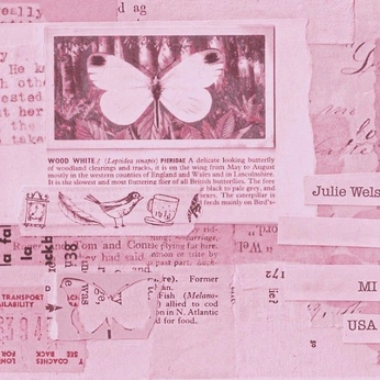 A cover of "rosé" cluster. The owner is aikachu. The cluster consists of 97 elements.