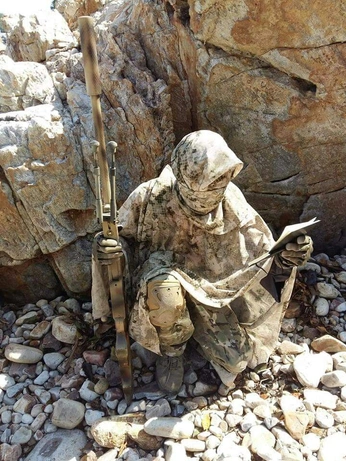 A cover of "Vibe harvest" cluster. The owner is riverxart. The cluster consists of 48 elements.