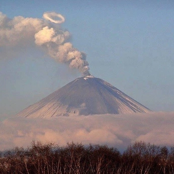 A cover of "Moodboard" cluster. The owner is beigecowboy. The cluster consists of 6 elements.