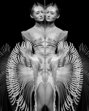 A cover of "Fashion" cluster. The owner is fevallejos03. The cluster consists of 8 elements.