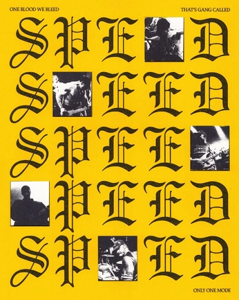 A cover of "Typography&Posters" cluster. The owner is ginodesignmind. The cluster consists of 36 elements.